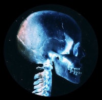 an image of a skeleton with a blue background